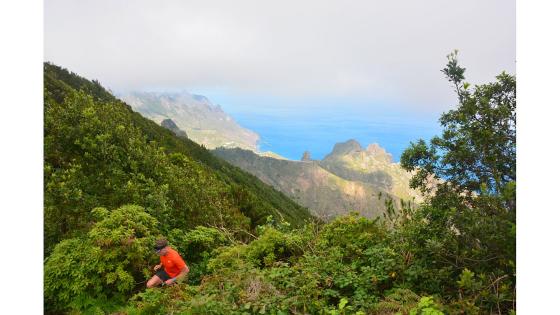 Forbedrer turstier i Anaga på Tenerife.