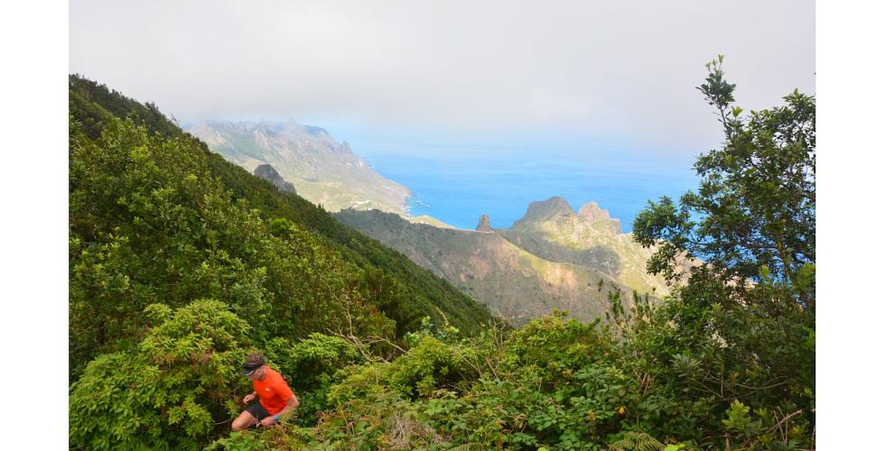 Forbedrer turstier i Anaga på Tenerife.