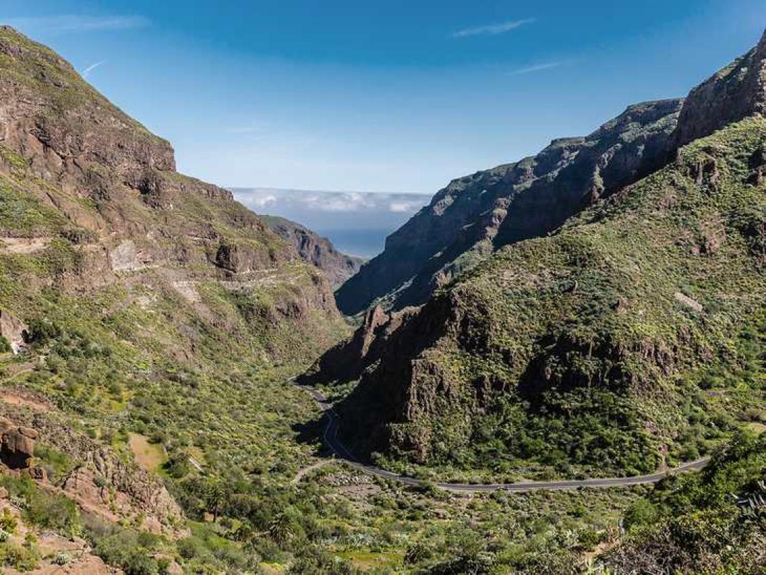 Grønt og dramatisk i Barranco de Guayadeque