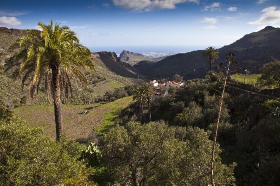 Temisas, Gran Canarias ukjente perle